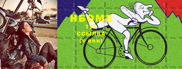 хмурый Алексин